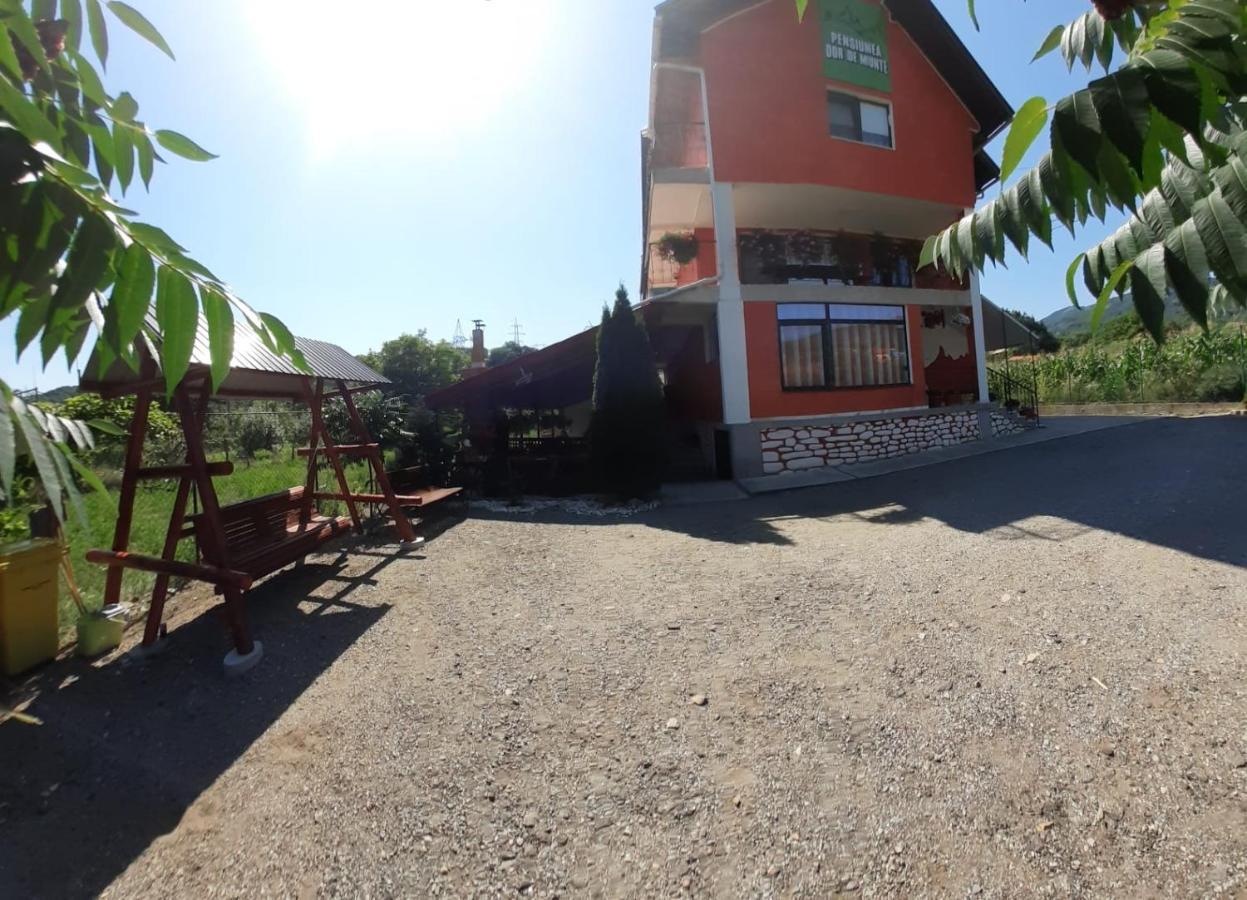 Pensiunea Dor De Munte Arefu Dış mekan fotoğraf