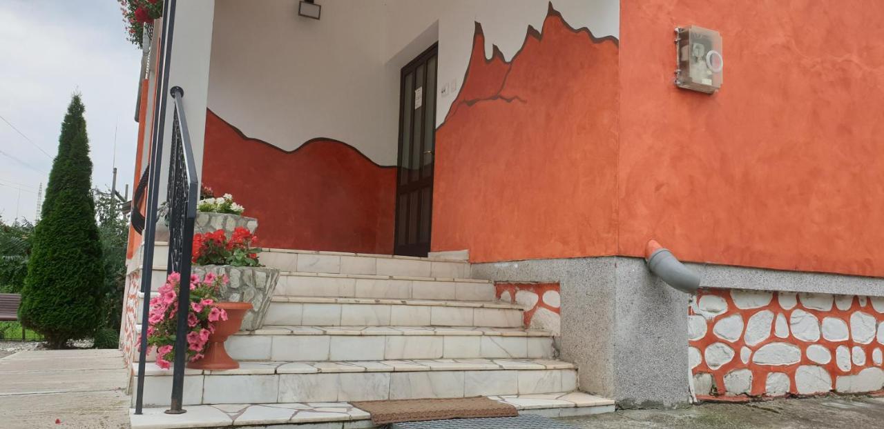 Pensiunea Dor De Munte Arefu Dış mekan fotoğraf